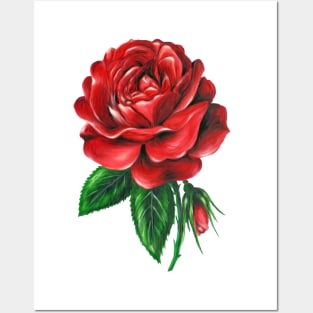 Red Rose Posters and Art